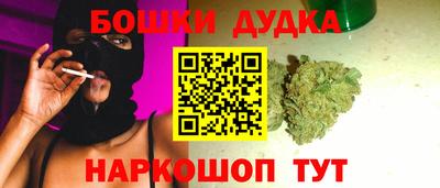 тгк Обь